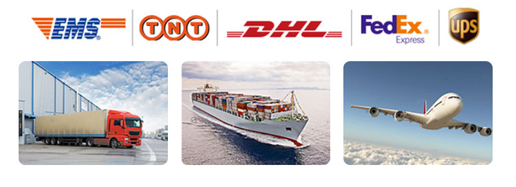 Qc11k-6x2500 Metal Guillotine Shear Guillotine Shearing Machine Qc11k-6x2500 Metall-Guillotine-Schere Guillotine-Schermaschine